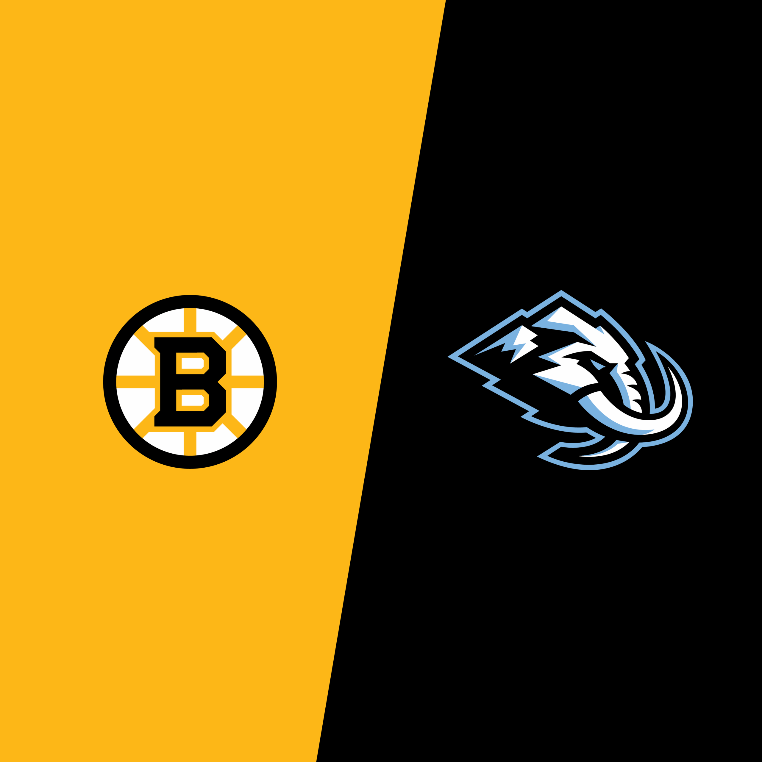 Utah Mammoth vs. Boston Bruins